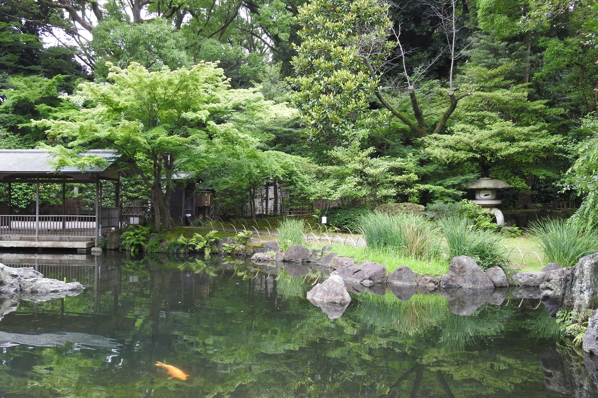 f:id:hidenaka24:20200704170718j:plain