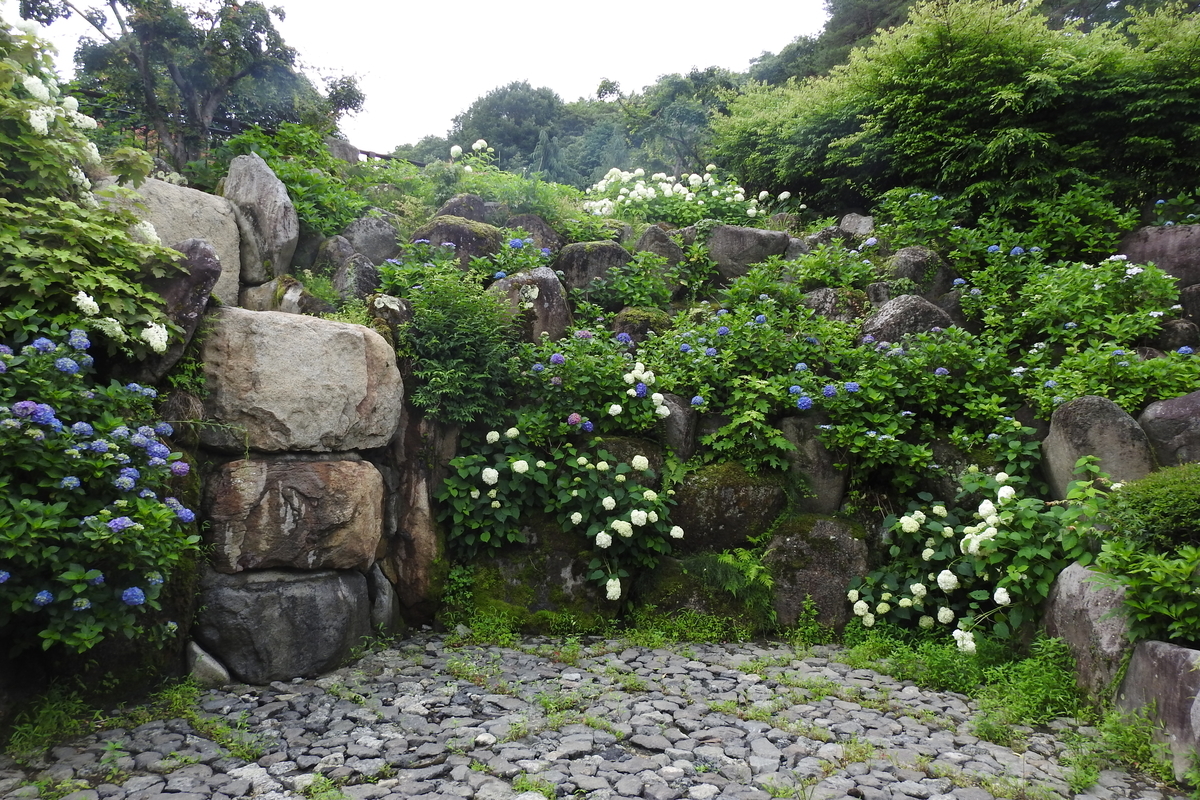 f:id:hidenaka24:20200715135504j:plain