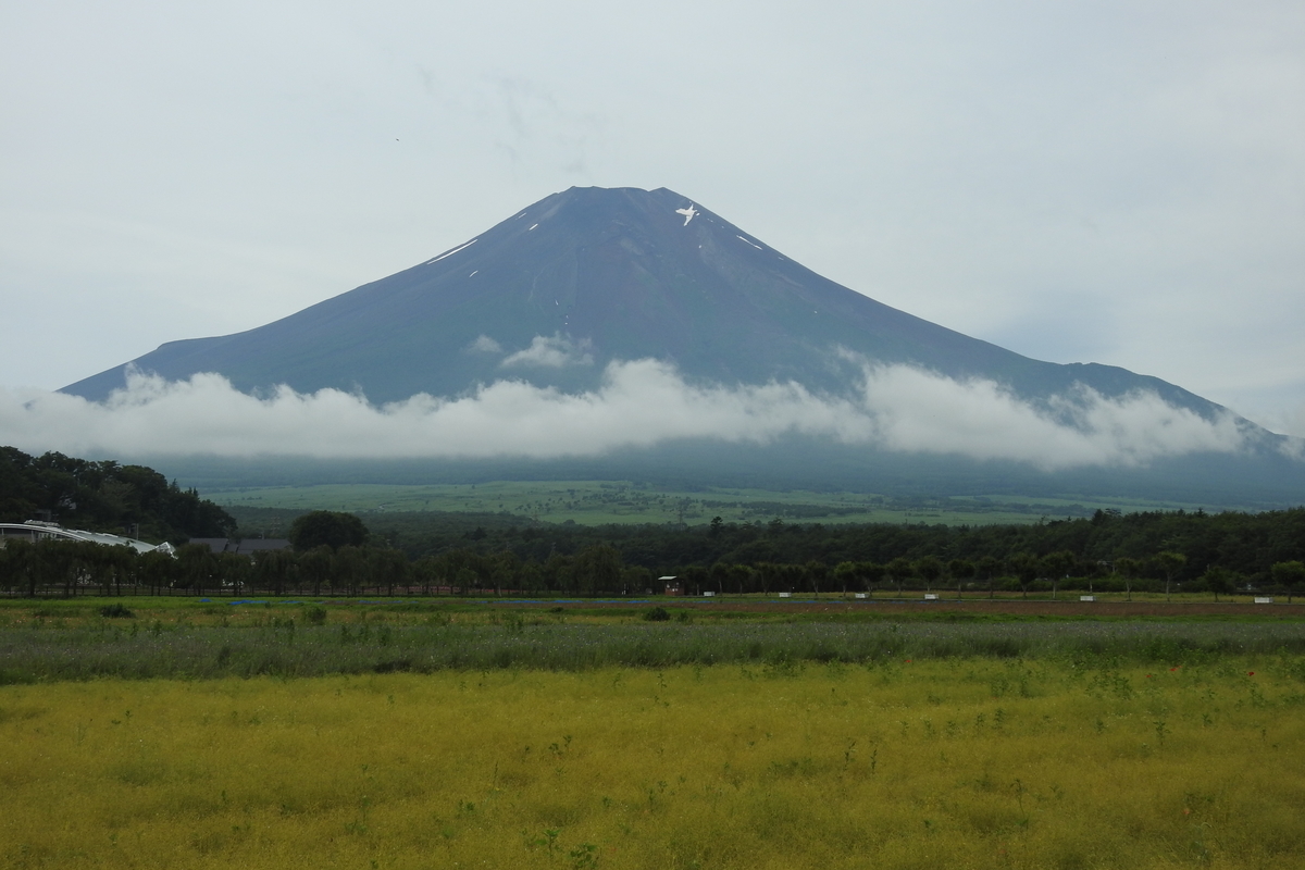 f:id:hidenaka24:20200725110100j:plain