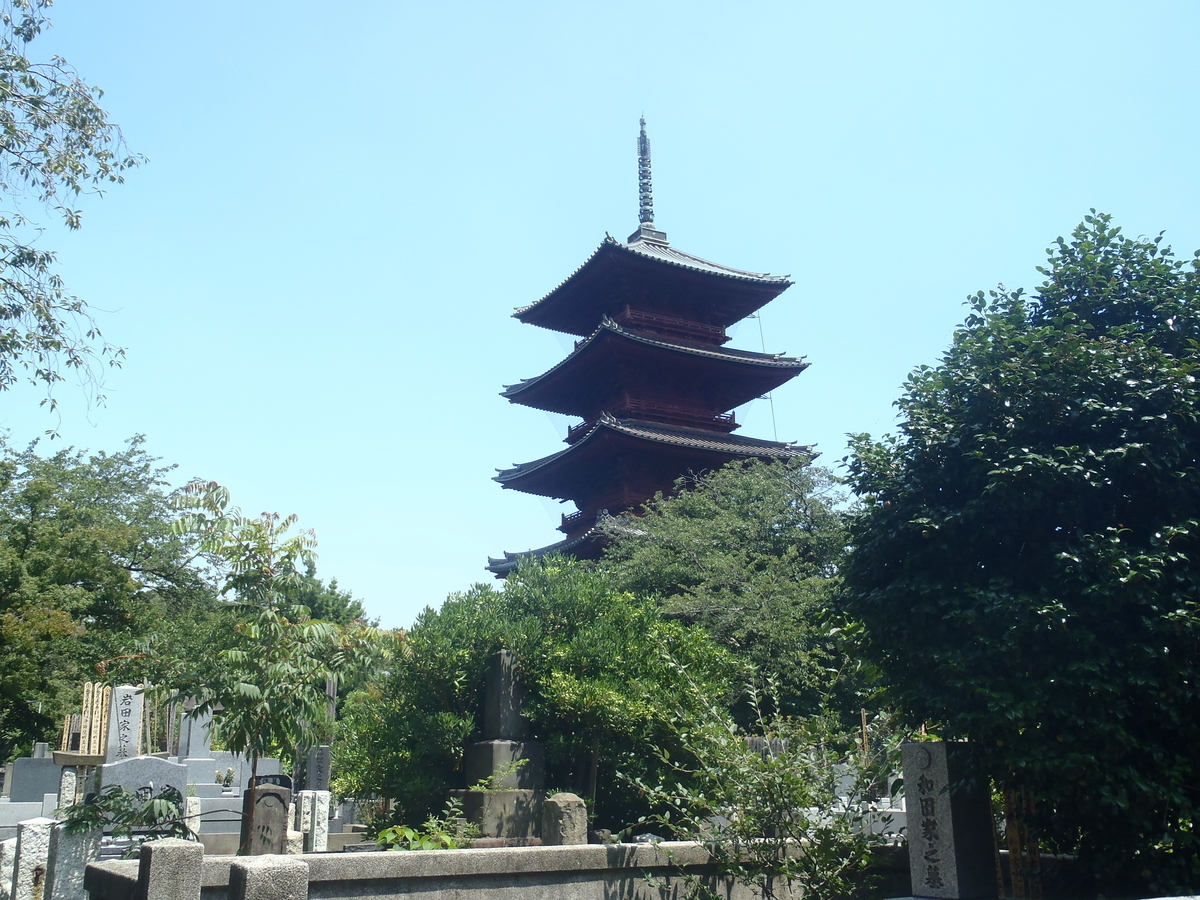 f:id:hidenaka24:20200804204536j:plain