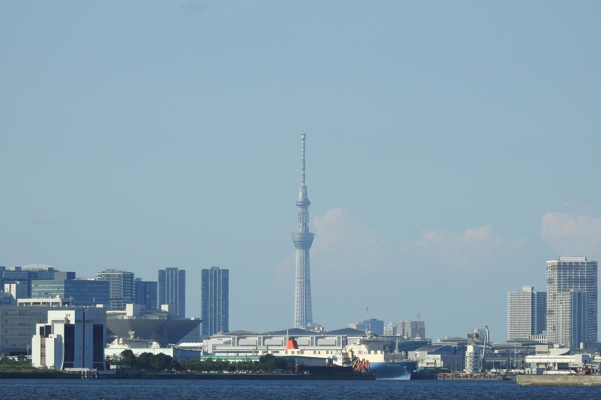 f:id:hidenaka24:20200829095314j:plain f:id:hidenaka24:20200829095314j:plain
