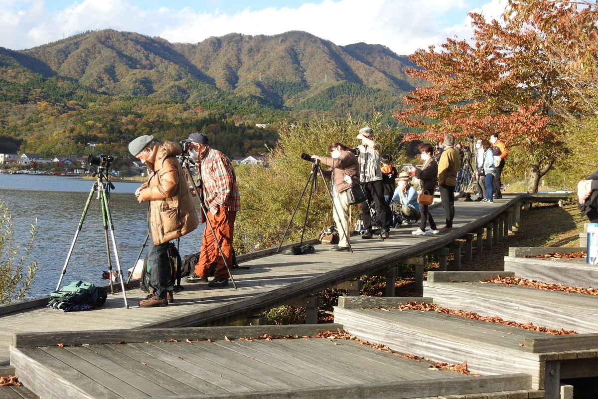 f:id:hidenaka24:20201103155320j:plain