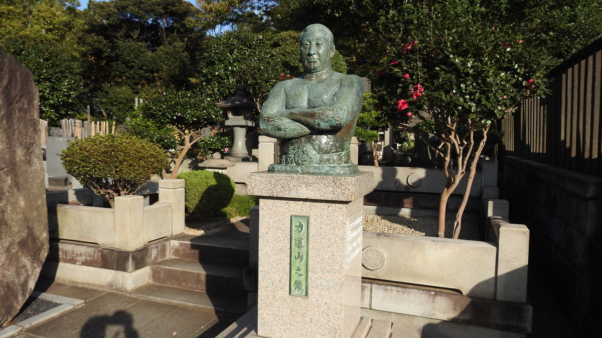 f:id:hidenaka24:20201216173110j:plain