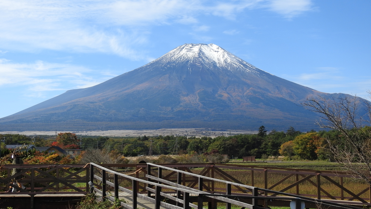 f:id:hidenaka24:20210103105111j:plain