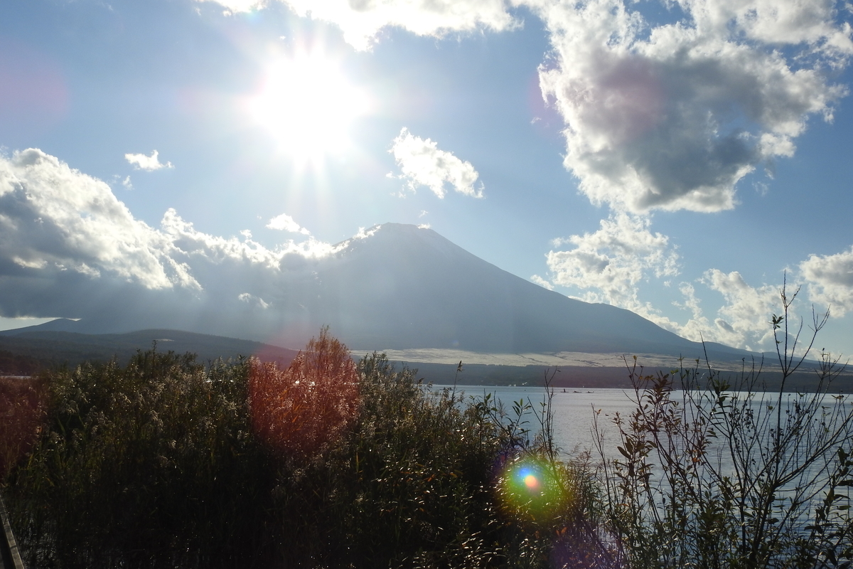f:id:hidenaka24:20210110101126j:plain