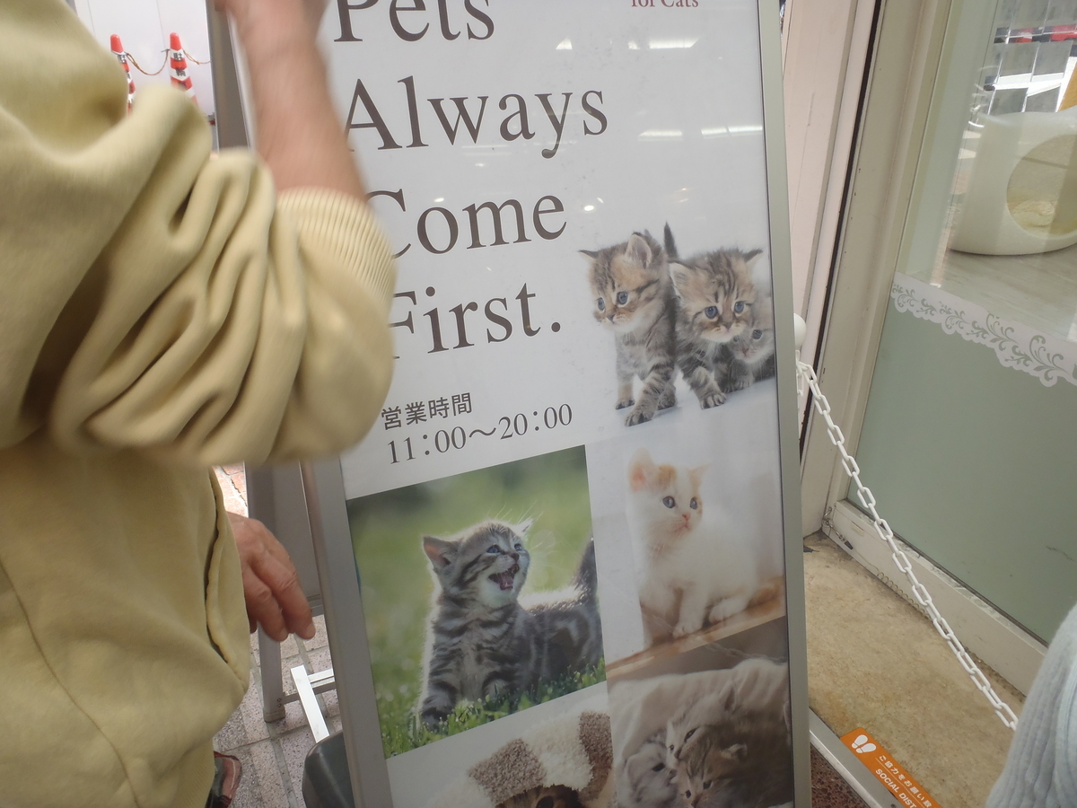 f:id:hidenaka24:20210302143150j:plain