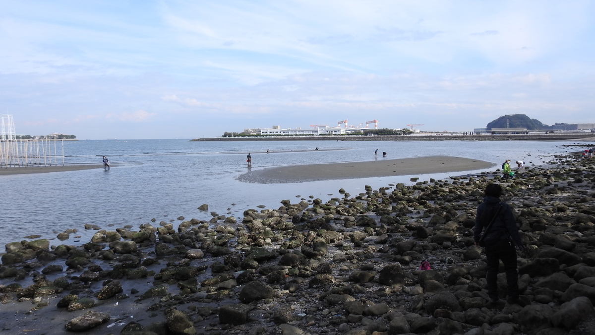 f:id:hidenaka24:20210307164534j:plain