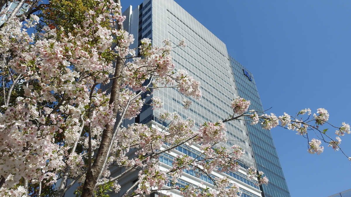 f:id:hidenaka24:20210324111048j:plain