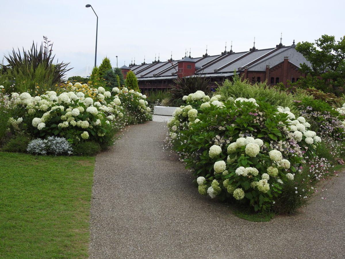 f:id:hidenaka24:20210623193327j:plain