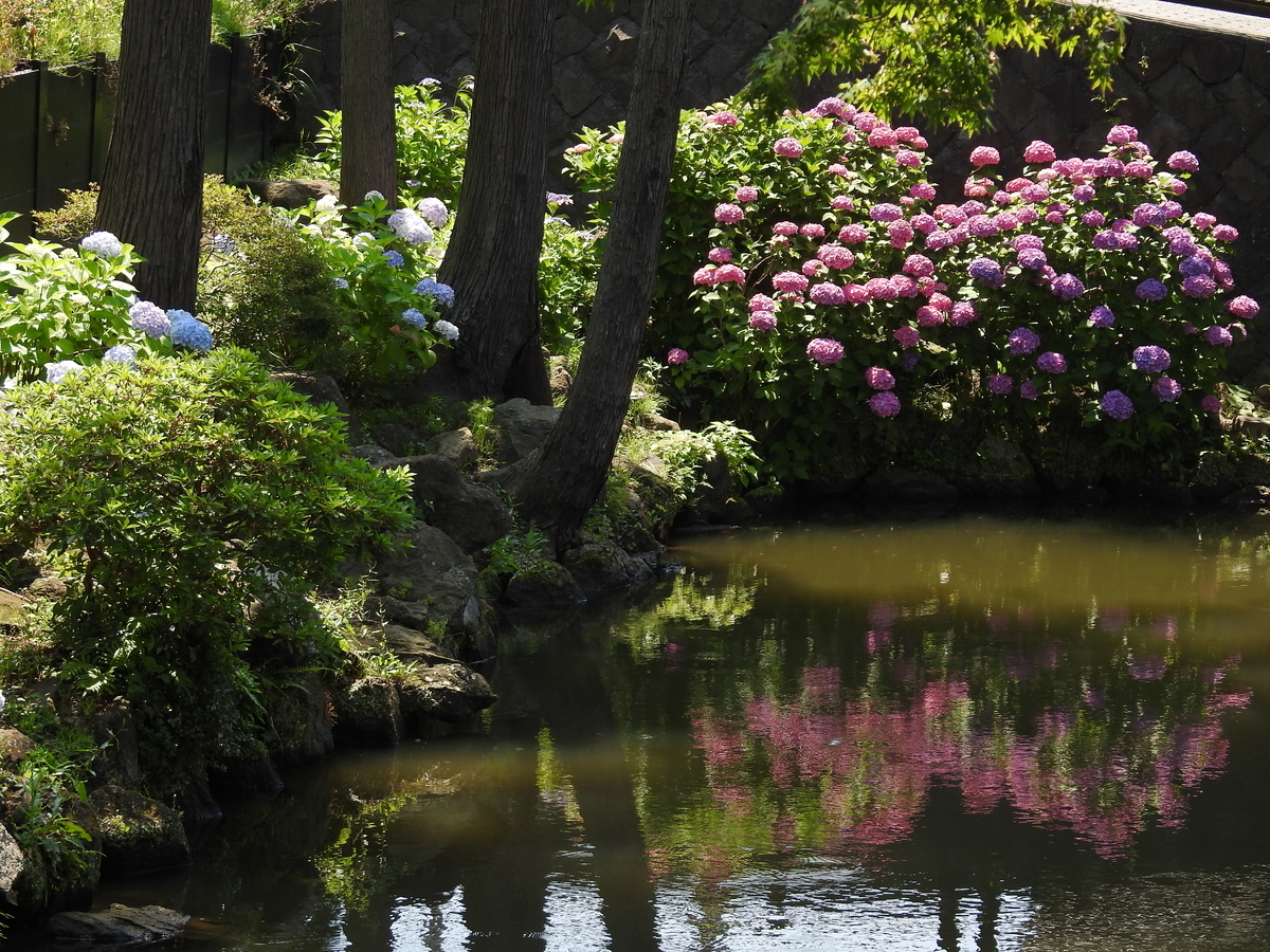 f:id:hidenaka24:20210623193532j:plain