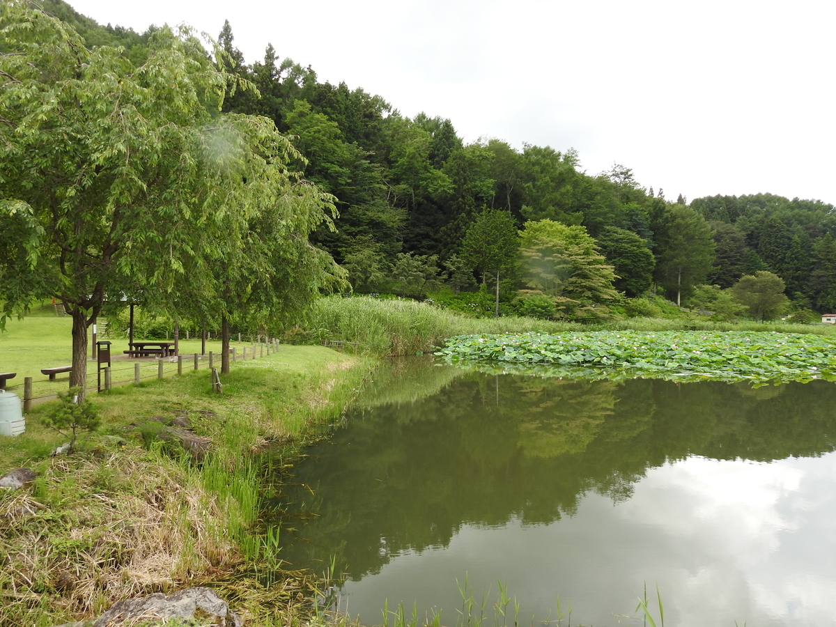 f:id:hidenaka24:20210809182256j:plain