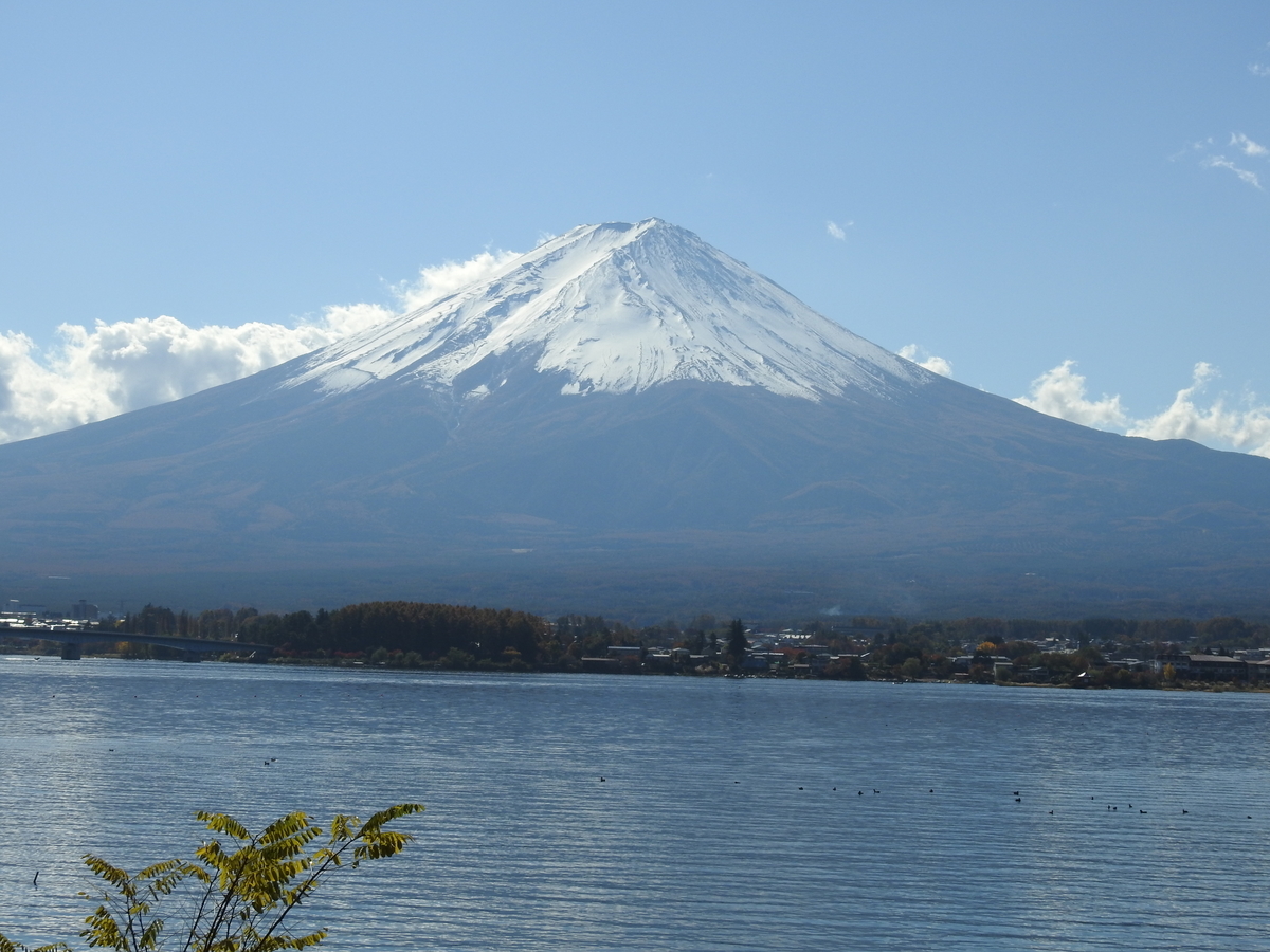 f:id:hidenaka24:20211109153754j:plain