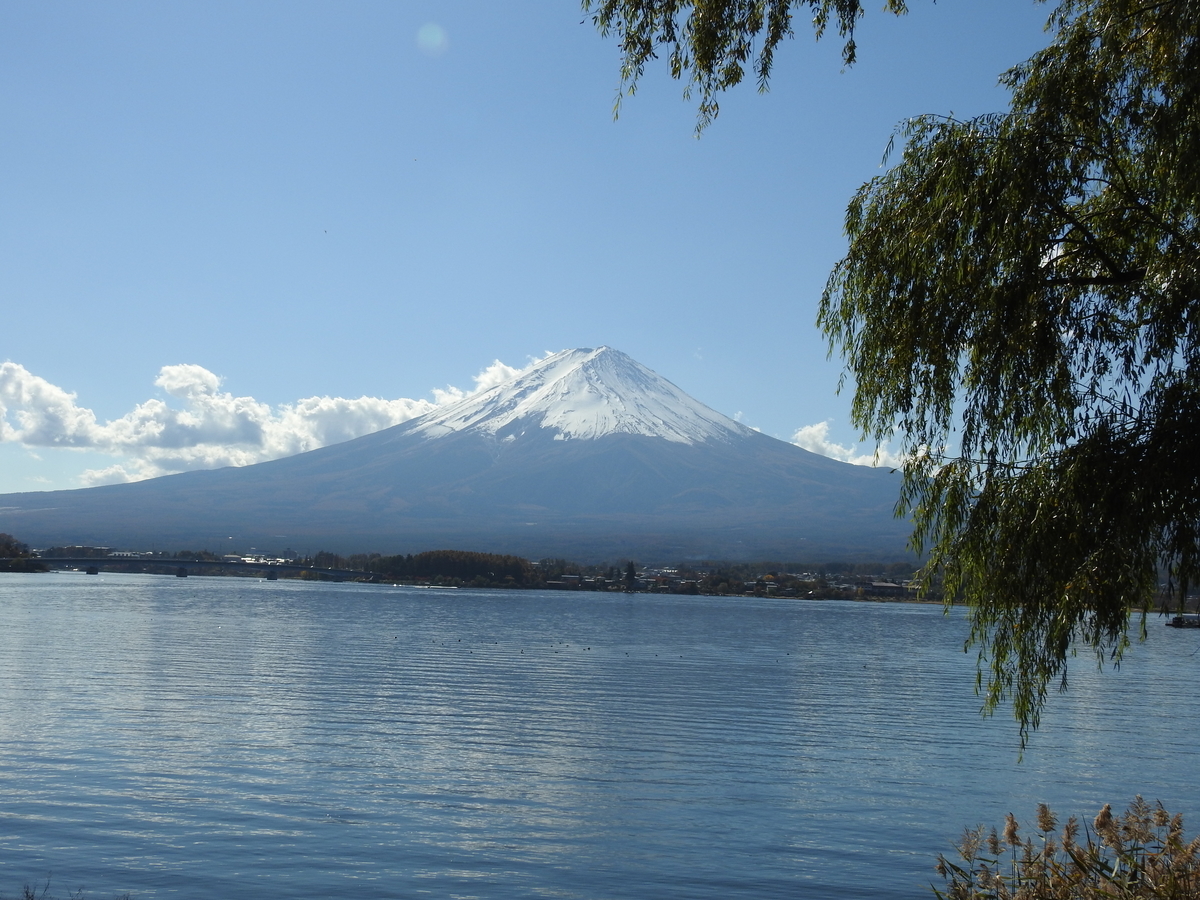 f:id:hidenaka24:20211109153822j:plain