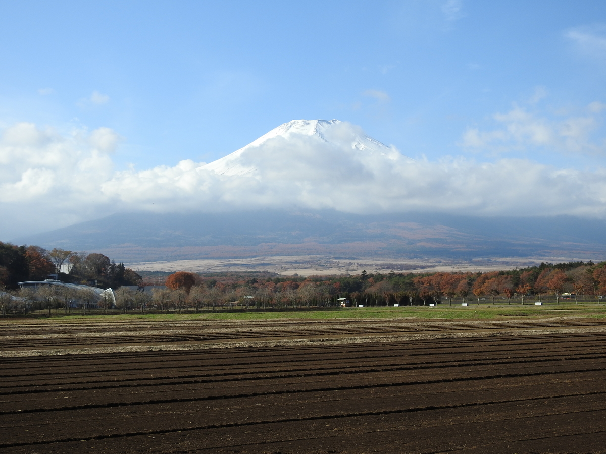 f:id:hidenaka24:20211112112652j:plain