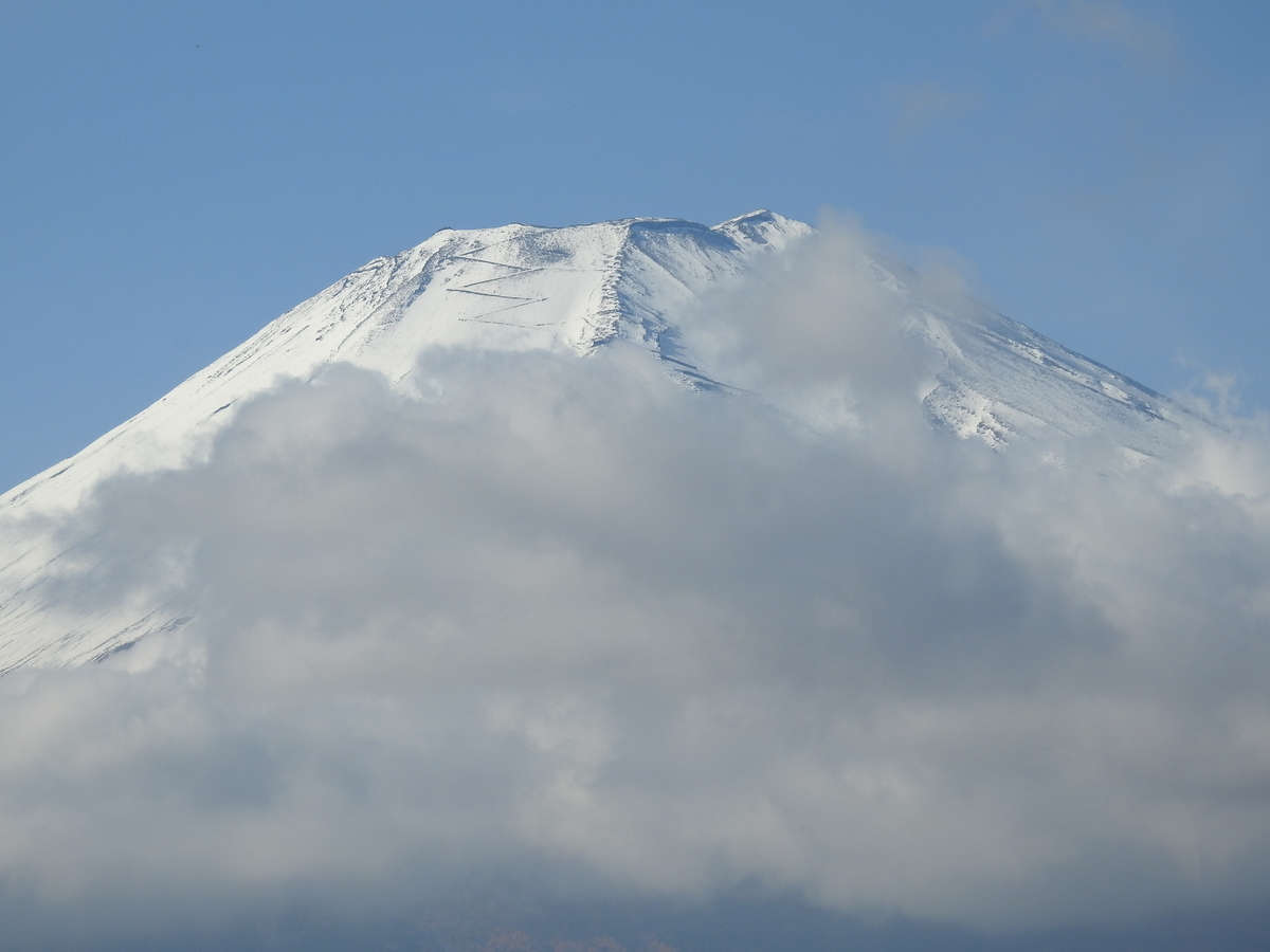 f:id:hidenaka24:20211112112741j:plain