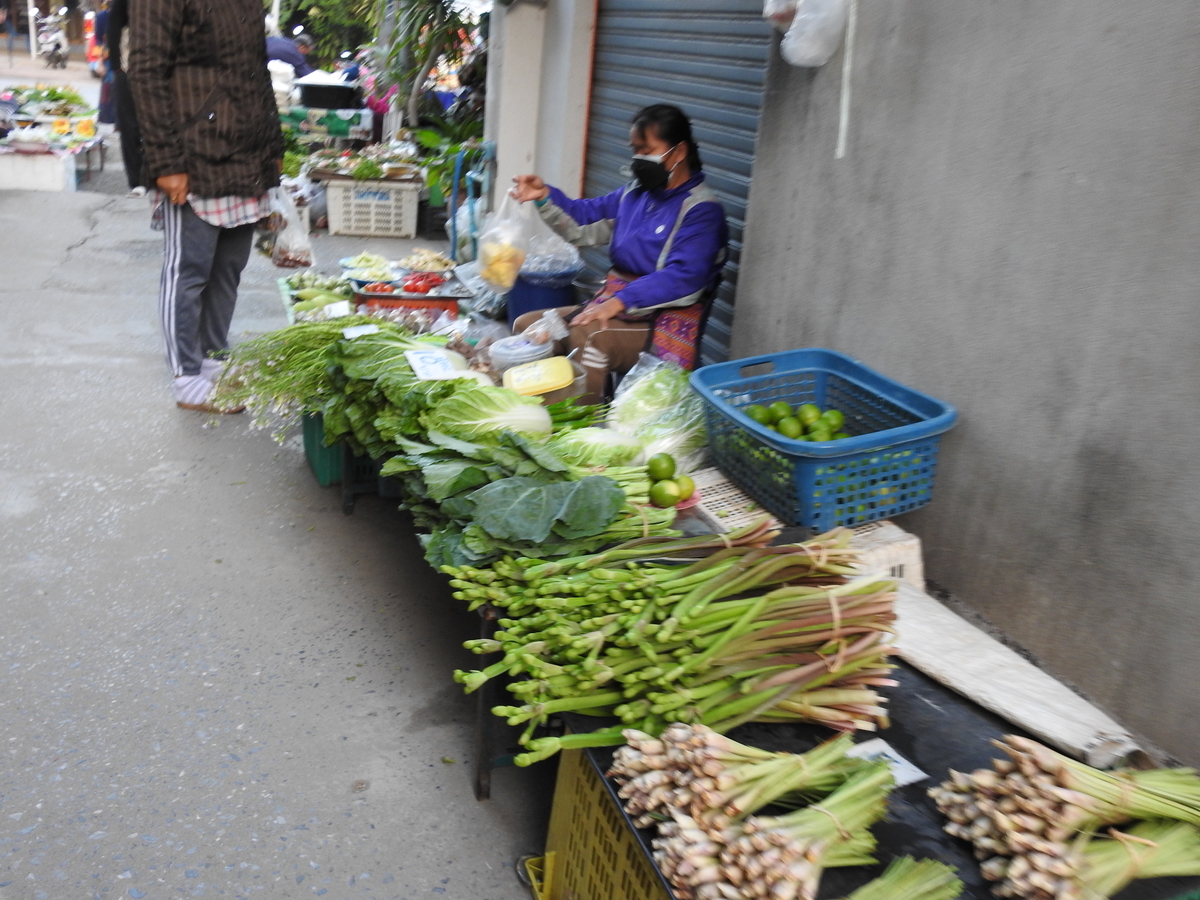 f:id:hidenaka24:20220121131603j:plain