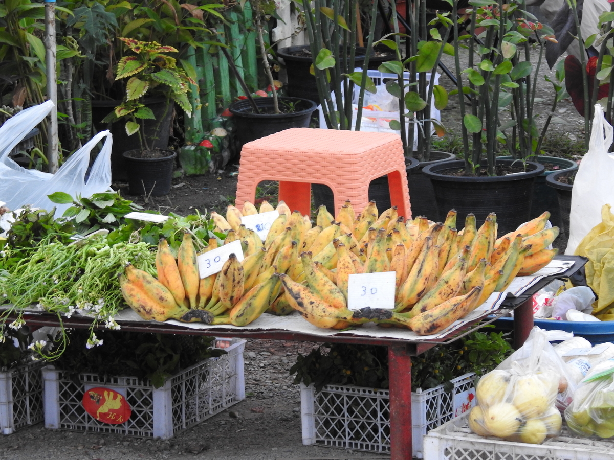 f:id:hidenaka24:20220121131642j:plain