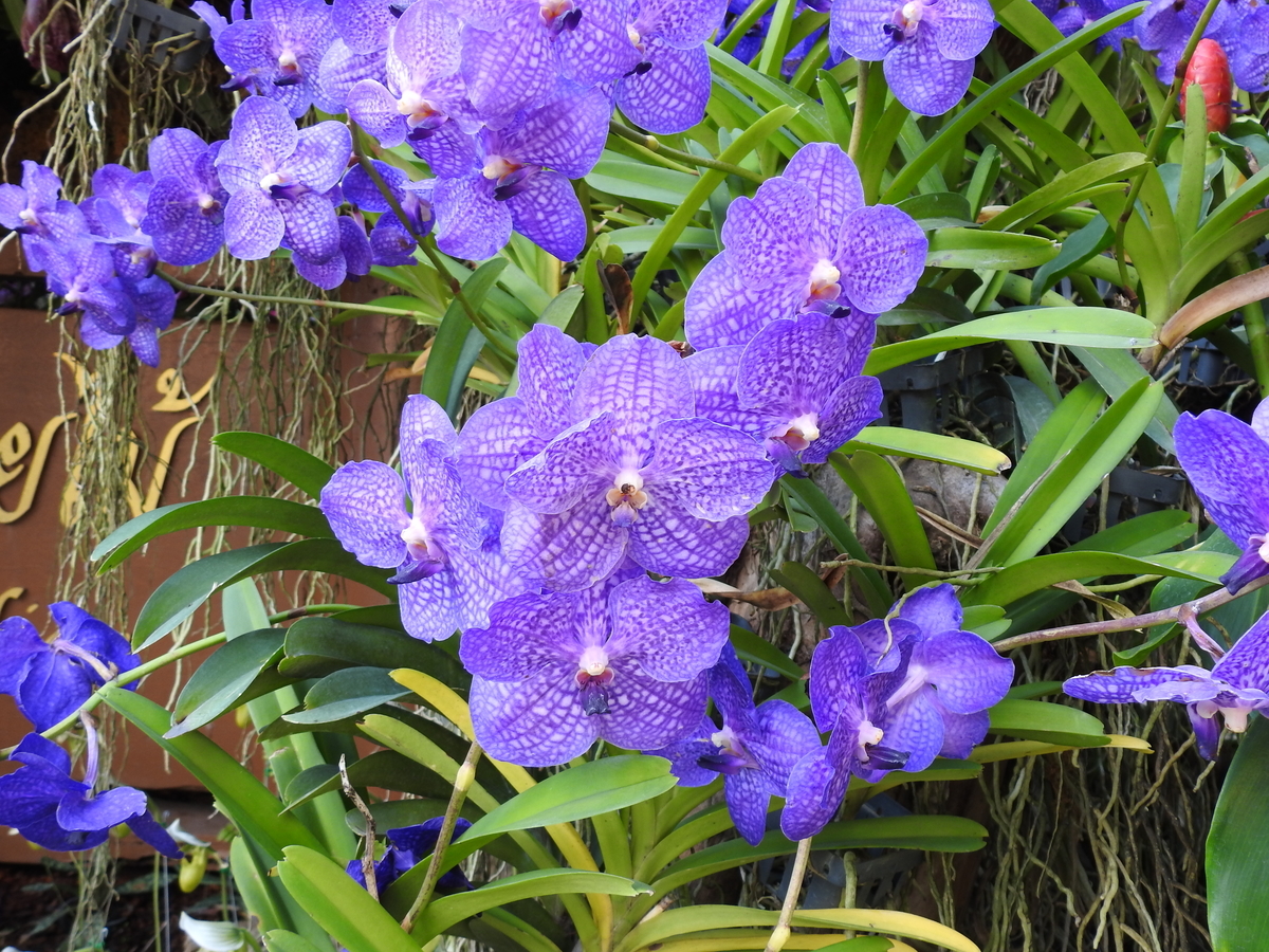 f:id:hidenaka24:20220129173615j:plain