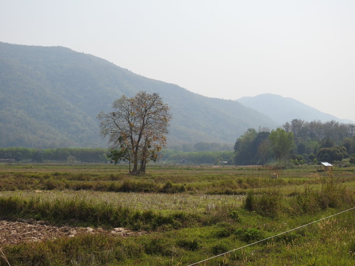 f:id:hidenaka24:20220320202333j:plain