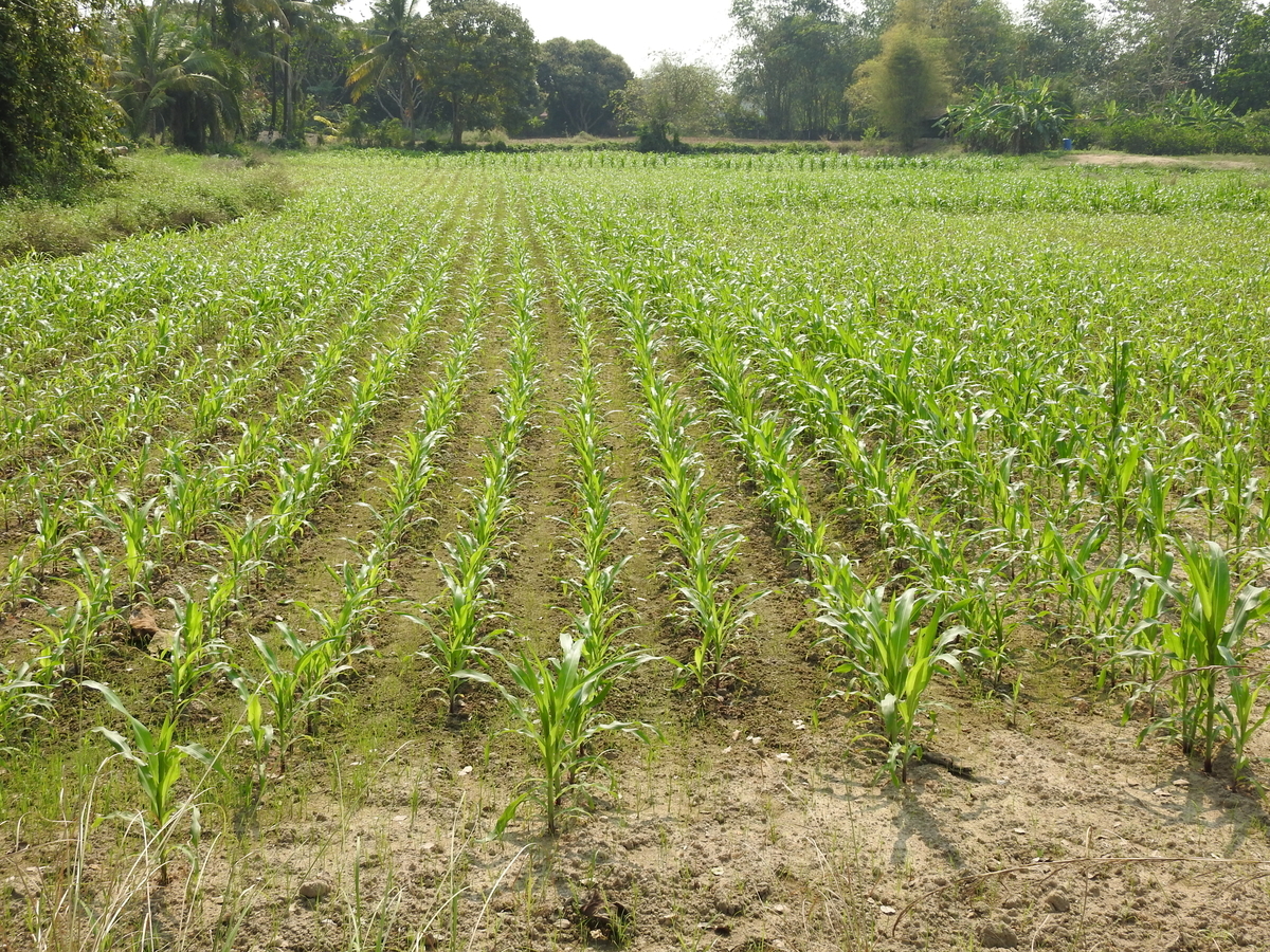 f:id:hidenaka24:20220320202422j:plain