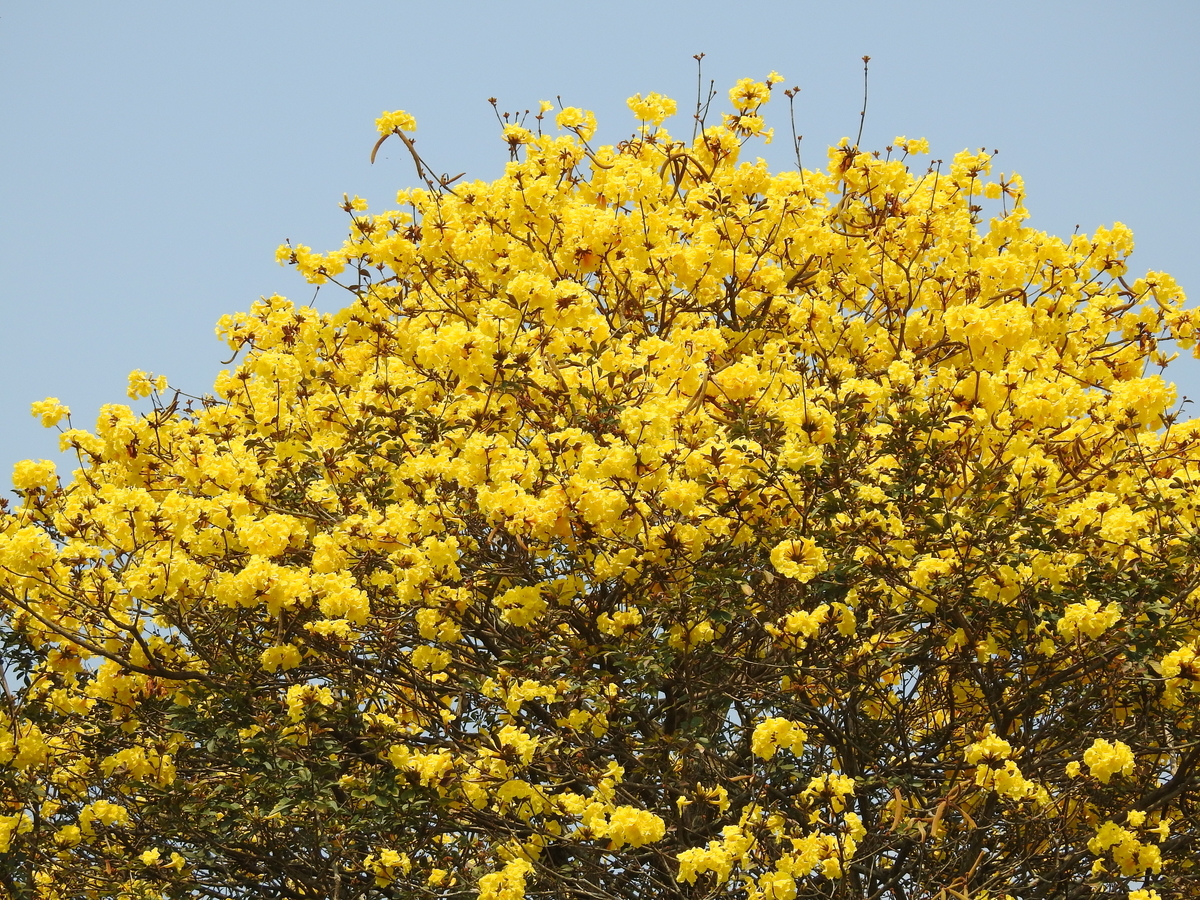 f:id:hidenaka24:20220320202447j:plain