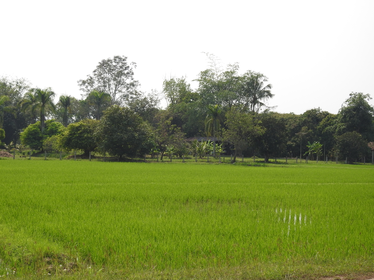 f:id:hidenaka24:20220320202600j:plain