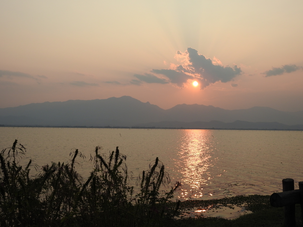 f:id:hidenaka24:20220401123032j:plain