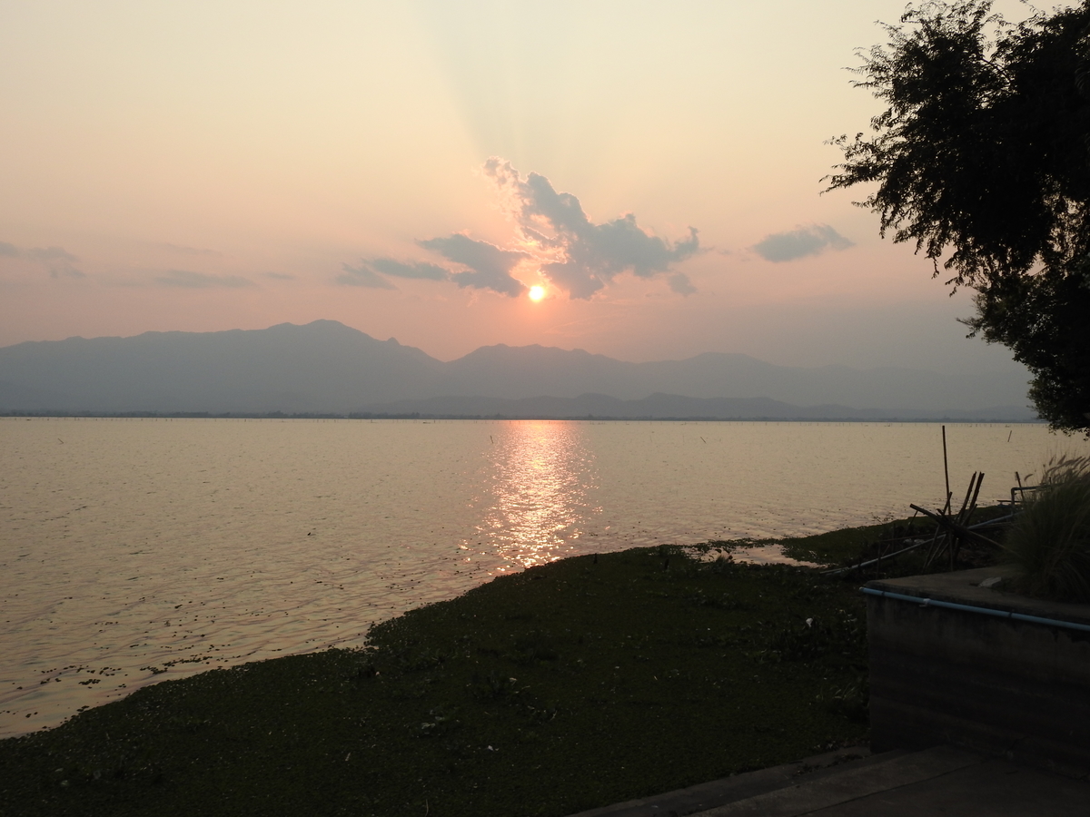 f:id:hidenaka24:20220401123230j:plain