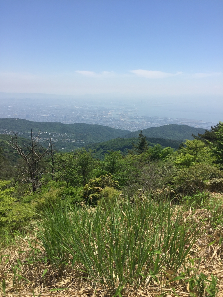 f:id:hideo-max1223:20170522193458j:plain