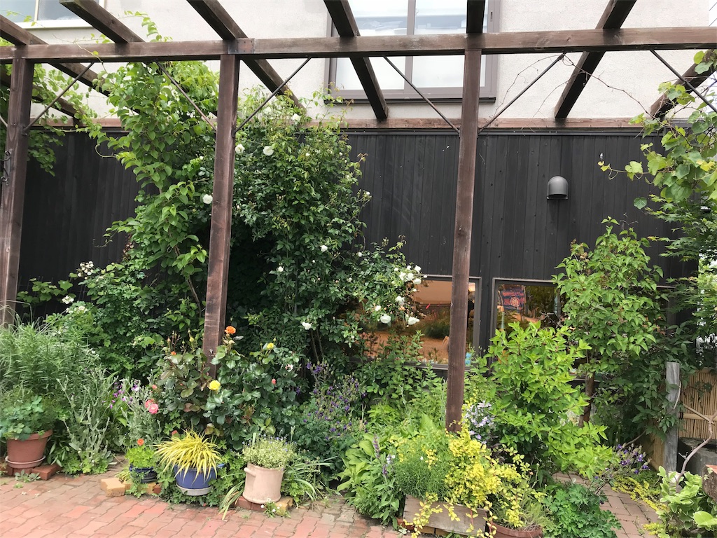 f:id:hideo1214:20180624224935j:image