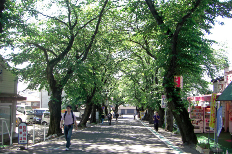 f:id:hideoyok:20120518220621j:image:w640:left f:id:hideoyok:20120518220621j:image:w640:left