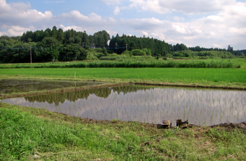 f:id:hideoyok:20120702035231j:image:w640:left