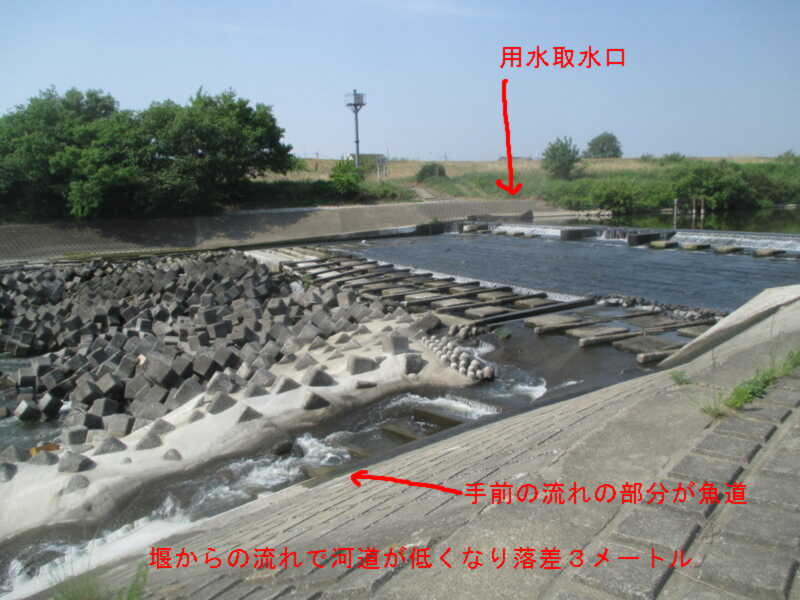 f:id:hideoyok:20150511103926j:image:w640
