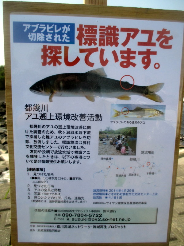 f:id:hideoyok:20150511105231j:image:w640