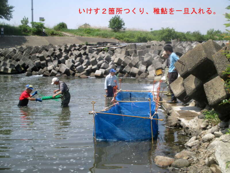 f:id:hideoyok:20150511105232j:image:w640
