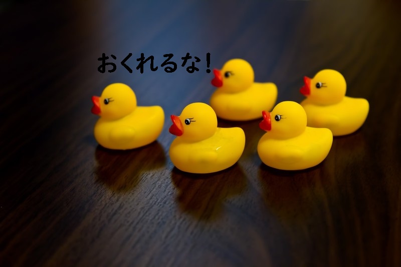 f:id:hiderino-akihito:20180930140255j:plain