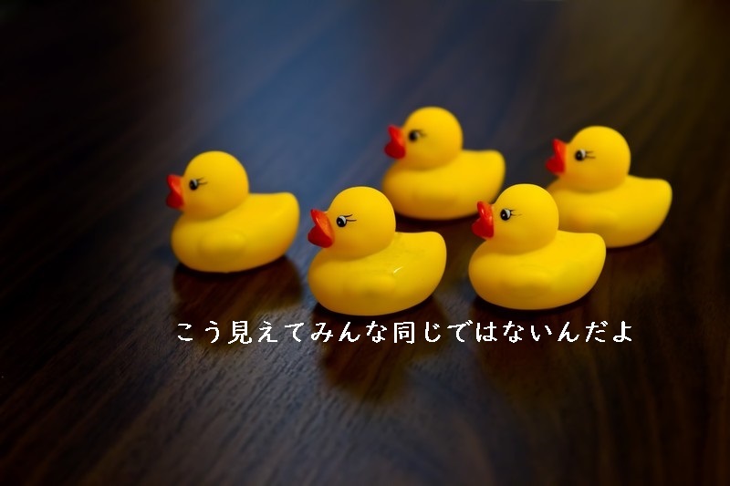 f:id:hiderino-akihito:20181008214145j:plain f:id:hiderino-akihito:20181008214145j:plain