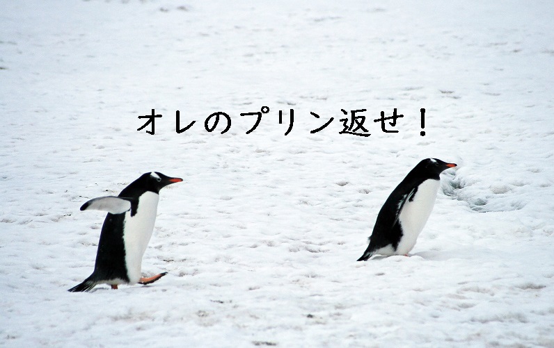 f:id:hiderino-akihito:20190313221751j:plain f:id:hiderino-akihito:20190313221751j:plain