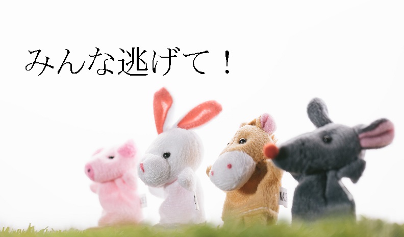 f:id:hiderino-akihito:20190328222237j:plain f:id:hiderino-akihito:20190328222237j:plain