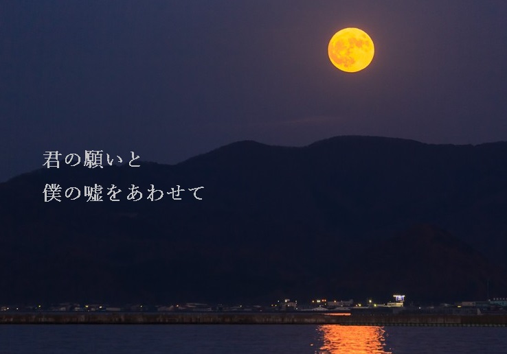 f:id:hiderino-akihito:20190524223835j:plain