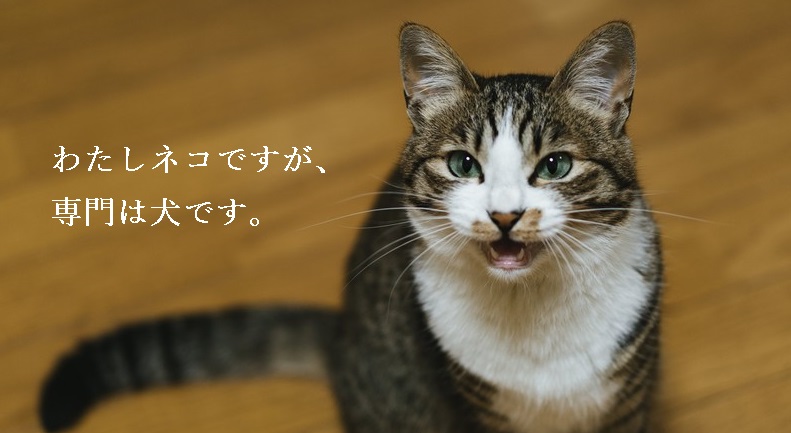 f:id:hiderino-akihito:20190701223337j:plain f:id:hiderino-akihito:20190701223337j:plain