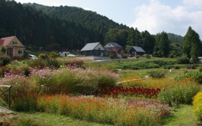 20081016120645
