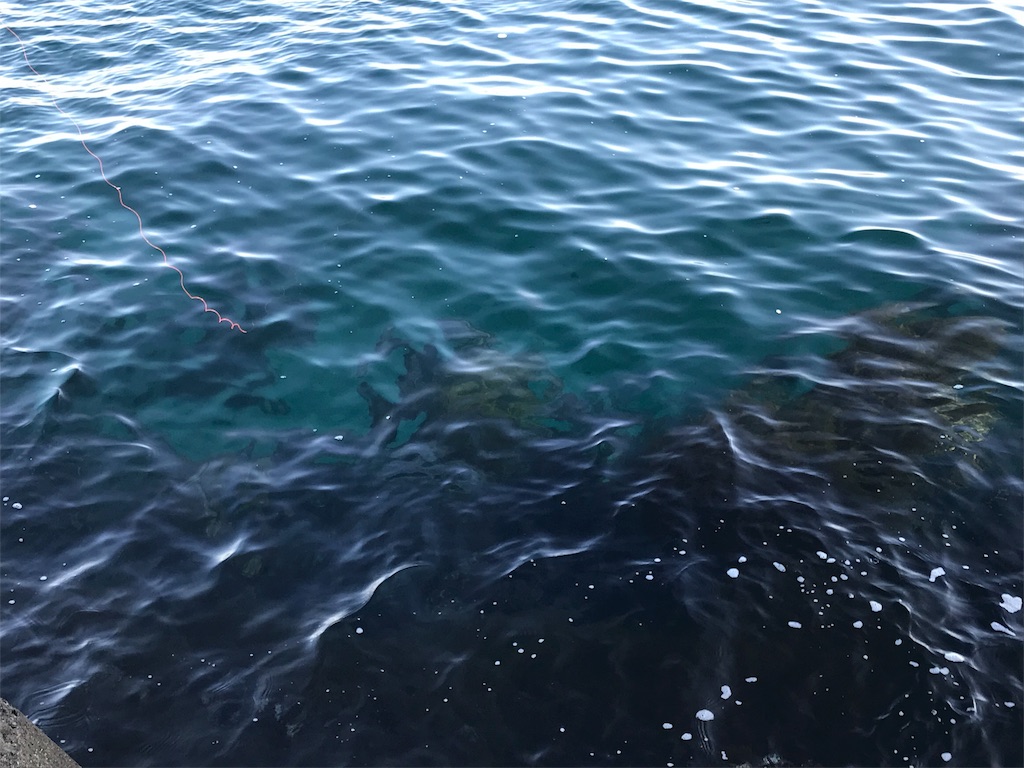 f:id:hidesurfrider:20180114213854j:image:w350