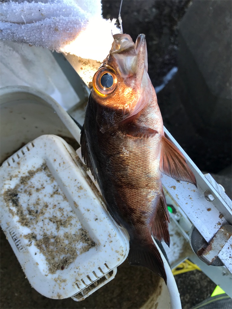 f:id:hidesurfrider:20180115005615j:image:w350