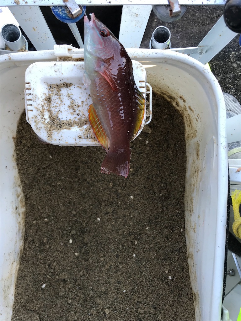 f:id:hidesurfrider:20180115005632j:image:w350