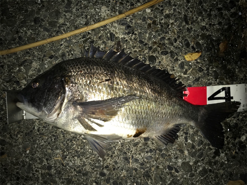 f:id:hidesurfrider:20180121025601j:image:w400 f:id:hidesurfrider:20180121025601j:image:w400