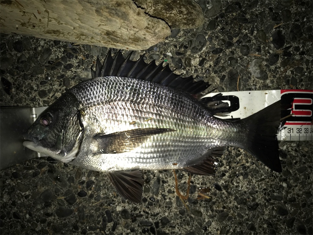 f:id:hidesurfrider:20180121025635j:image:w400 f:id:hidesurfrider:20180121025635j:image:w400