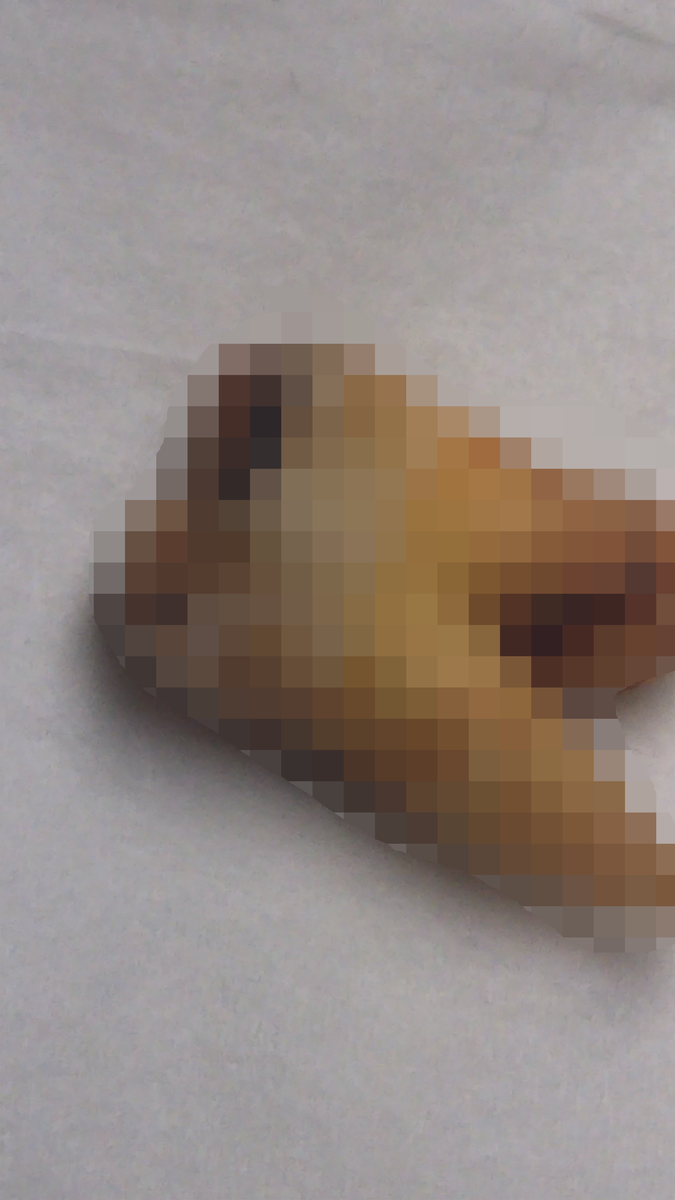 f:id:hidesys:20190408001157p:plain