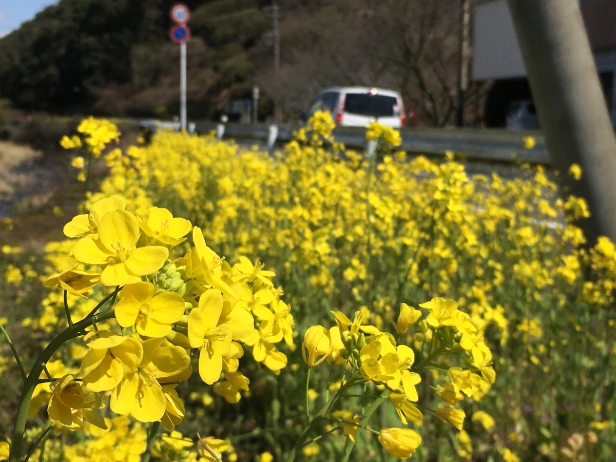 f:id:hideto3434:20200308115308j:plain f:id:hideto3434:20200308115308j:plain