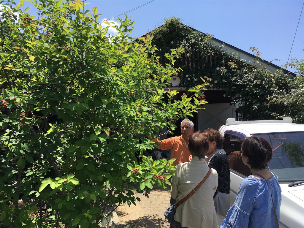 f:id:hidetou:20170529011721j:image f:id:hidetou:20170529011721j:image